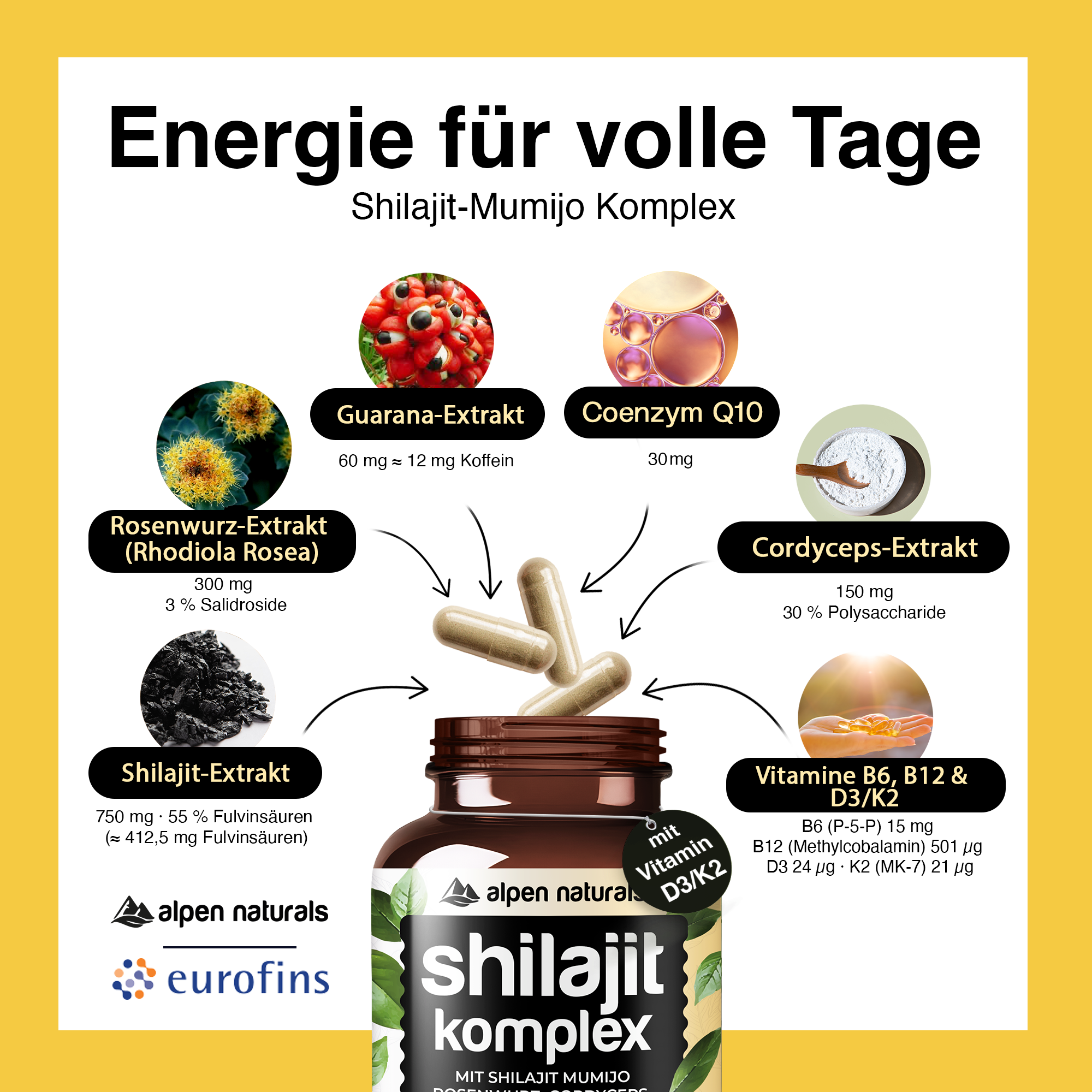Shilajit Mumijo Komplex